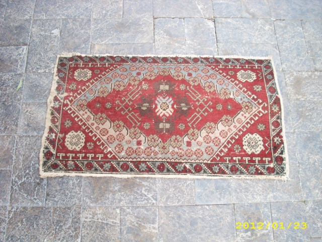 anatolian yastık nebati  size:86x46                            