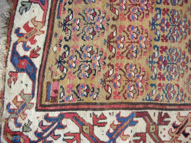 Kurdish long rug 4'-1"x10'-0" great wool and natural dyes. Low areas, areas of repiling.                   