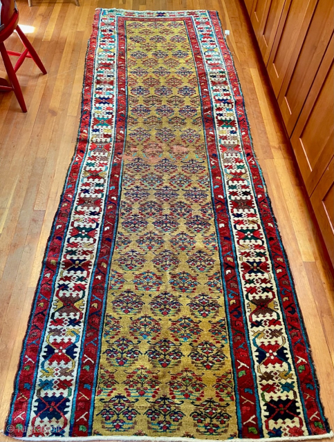 Colorful antique Kurdish runner fragment with yellow field. 120 inches (10 ft.) long, 42 inches wide.  (305 cm x 107 cm).   Lower end missing outer border, upper end missing  ...