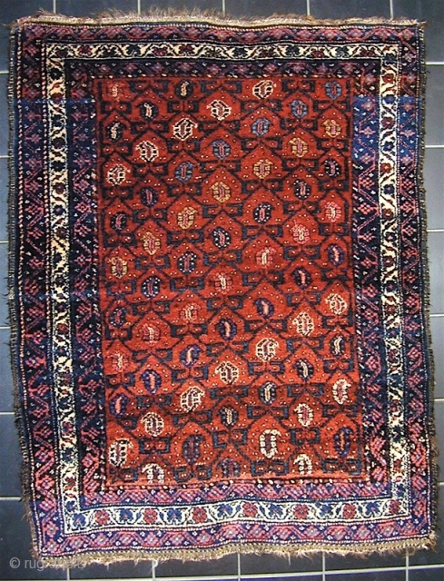 A small NWP rug, likely Kurdish.   51” x 39” (130 cm x 99 cm).     Very good condition.  Dense thick pile.  The field has a  ...