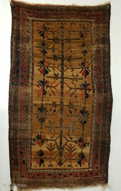 Baluch - about 31" x 54".  Wonderful color and spacious archaic drawing but not without oxidation and wear.              