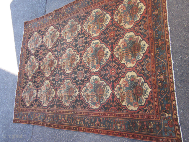 7 x 10 ft Bahktiari Carpet in very good condition  $2000                     