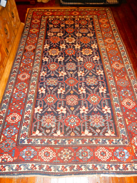 Kuba blossom carpet large size of 64 x 112 inches Boylston Associates .Com                    