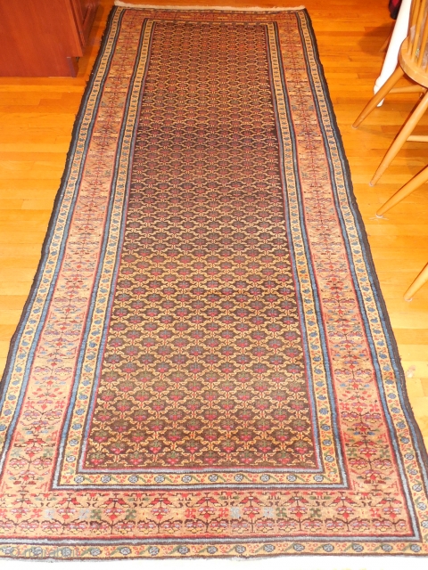 great condition NW persian/maybe Malayir 4 x 10 - $475                       