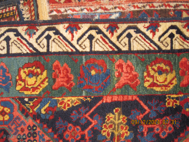 Boylston Associates Antique Caucasian Rugs 

TAKE A LOOK AT OUR NEW WEBSITE                     