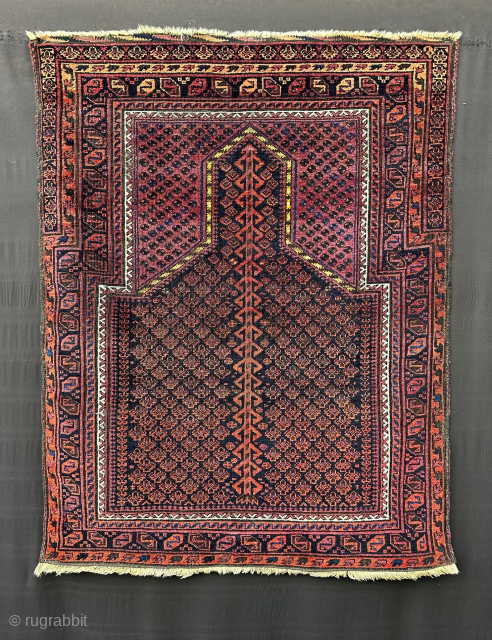 Interesting little Dokhtar-e-Qazi prayer-rug with an unusual design format having a powerful tree rising upwards to the prayer niche and the mihrab outlined in a natural yellow. 1.25 x 1.00m (4' 1"  ...