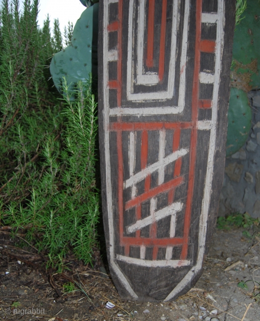 Papua New Guinea Cult house engraved wooden panel. Cm 145/56 in ca. Field collected mid 20th century by a Dutch collector in the Sepik river area mountains. Very hard wood, clay and  ...