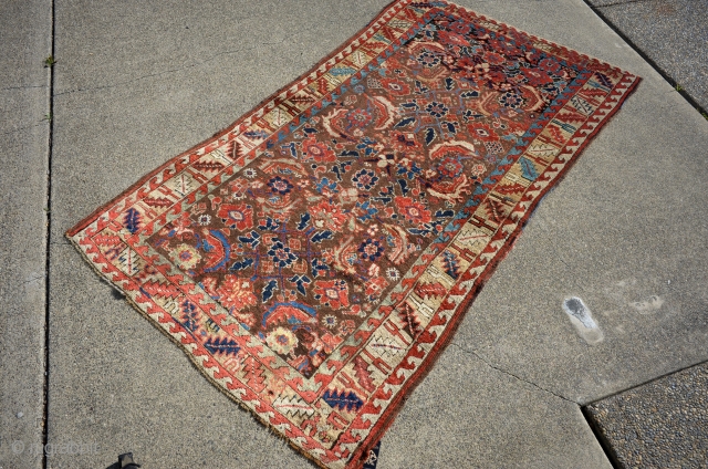 Very nice and reasonably old Sa'uj Balugh rug, there are old restorations.                     