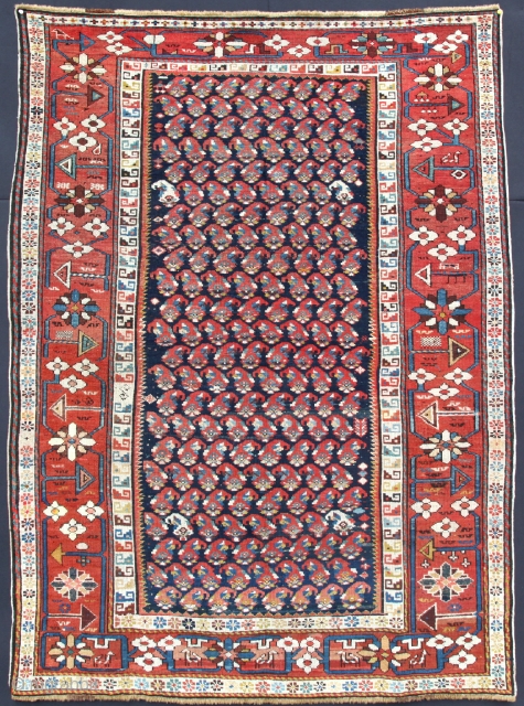 Shirvan Boteh with a splendid large border. Very fine knoted from Late 19th or Early 20Th C. It has very dry handle           