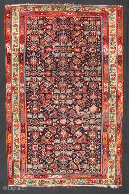 Sauj Bulagh, 19th century. Areas of (reparable) damage; fantastic colours and quality of wool.

Size: 1.80m x 1.13m / 5'11''x 3'8''

             