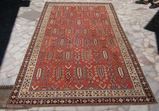 Shirvan rug blacks are repaired.
160cm x 299cm                          