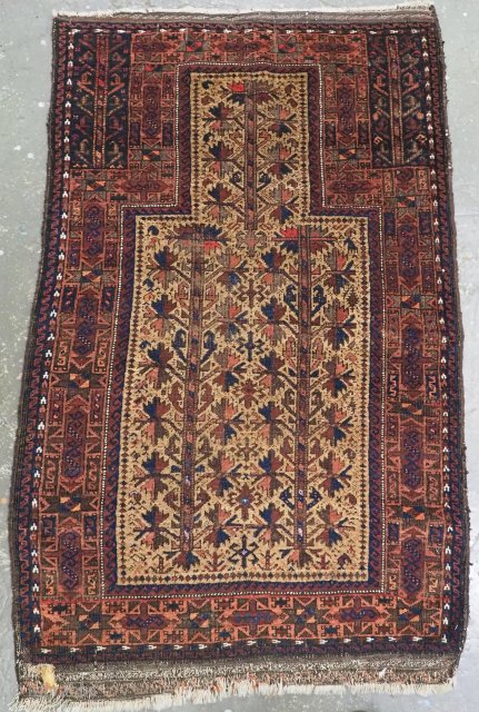 Size: 4ft 3in x 2ft 8in (130x 80cm).

Antique Western Afghan Timuri / Baluch camel ground prayer rug with tree of life.

Circa 1880.

The rug is beautifully drawn with a 'tree of life' design  ...