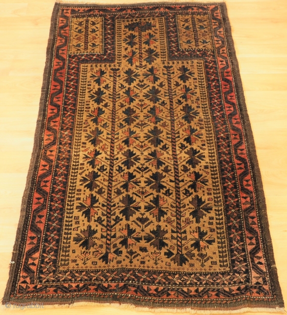 Antique Baluch camel ground prayer rug with 'tree of life' design. www.knightsantiques.co.uk 
Size: 4ft 7in x 2ft 9in (140 x 84cm). 
Circa 1900. 

The rug is beautifully drawn and has excellent colour,  ...