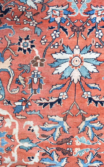 A very fine antique Mahal carpet, tightly knotted large scale all over design on soft Terracotta ground framed by attractive navy borders. A very pretty piece , even low pile for the  ...