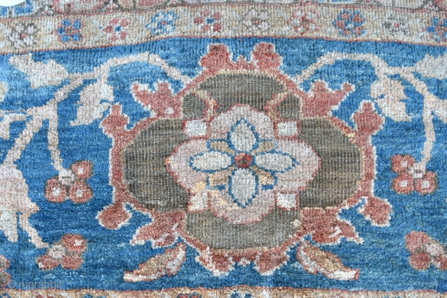 A very large antique carpet from the coveted Ziegler and Co workshop in Arak. 
A top flight carpet of rare square proportions and beautiful soft wool and dyes. Full pile all over,  ...