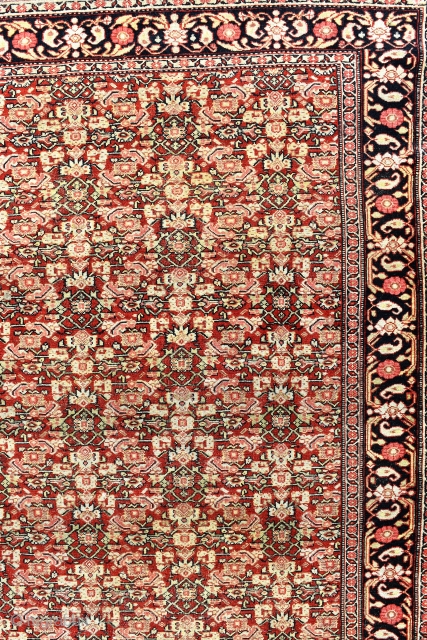 an exceptionally fine antique Senneh carpet of unusually large size. The knotting on this example as fine as I have seen on a Senneh work and it is also the biggest one  ...