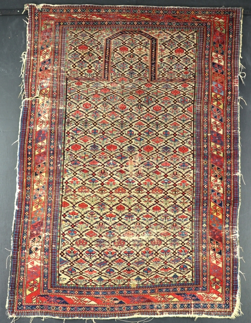 An exceptionally fine Shirvan prayer rug, woven on silk wefts. a little wear, s tear to left border, tatty around edges, one or two small faded repairs, needs a good wash. The  ...