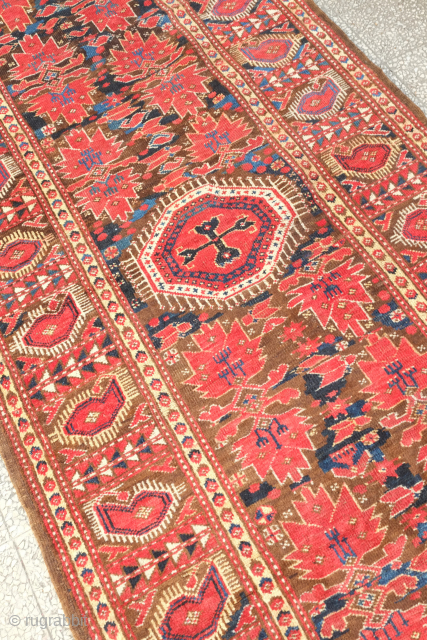 Beshir rug, 19th century. The field is narrower in this rug. There is even a partial snake motif in the bottom of the field looking a bit like a question mark. Overall  ...