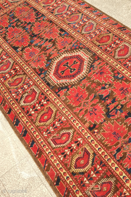 Beshir rug, 19th century. The field is narrower in this rug.  There is even a partial snake motif in the bottom of the field shown in the fifth image looking a  ...