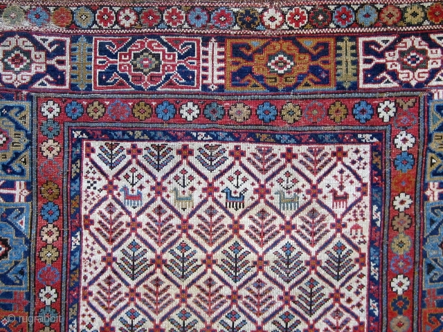 Mid 19th Century (possibly earlier) Caucasian rug, Kuba or Shirvan area, with all natural dyes in a wide array of colors (4 shades of blue, green, gold, brown, ivory, apricot, rose, red,  ...