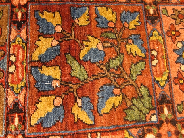 Antique Bakhtiari (Chahar-Mahal) rug 6'10" x 4'8"...fantastic saturated colors including a beautiful yellow and warm chestnut brown. great uniform pile throughout. no repairs. wool oozes out lanolin, and the weave is as  ...