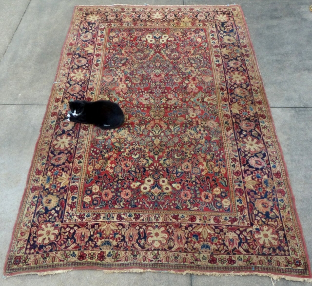  Sarouk(?). c.1030-40, 9'8" X 6'1", Good over all but has a 3" tear (see picture) and a little wear.
Has been washed.
SOLD           