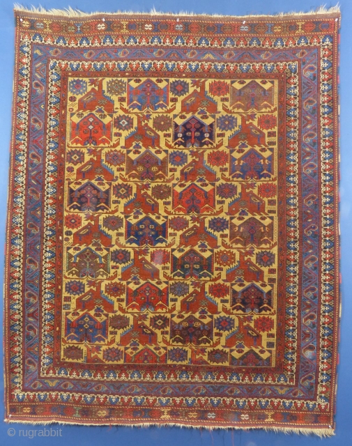 Antique Afshar, 75" X 65", Almost mint...

Please note, the gold color is actually more of a "Camel" color in reality...

SOLD             