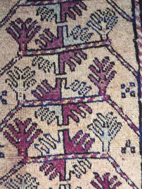 Attractive Kurd rug. low pile in some little portion of the field; a litlle cut on the near the head border as you can note on the pictures. Synthetic colors.  20th  ...