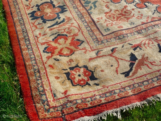 Sultanabad Ziegler, great looking carpet and good size: 14'.4" x 12'.8". Condition, there are a couple of areas of wear and bit of tidying needed, otherwise good original antique piece.   