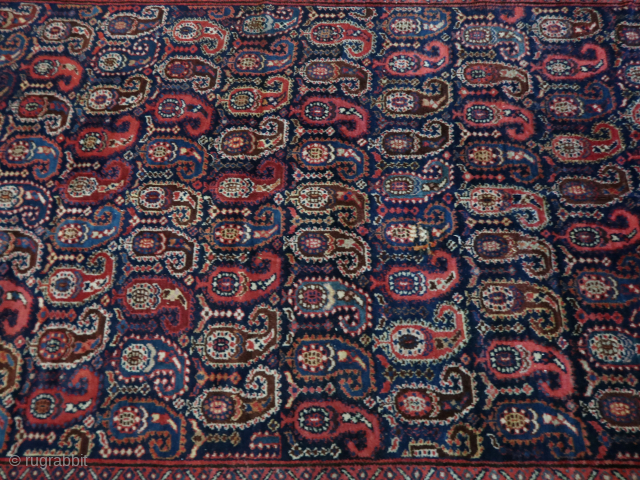 Boteh Kirman ( Afshar ? ) . 174/188  CM. X 388 CM. ( Kelleh ? ) Wool on cotton.  Cleaned and washed . Old/antique.       