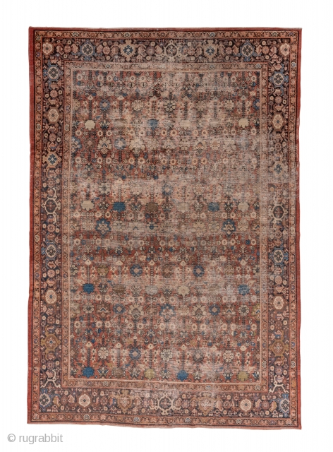 Mahal Carpet

8.6 x 12.7
2.62 x 3.87

This shabby chic condition carpet shows a madder field with larger and smaller rosettes, little botehs and chevron-detailed palmettes. The corroded brown border shows a classic turtle  ...