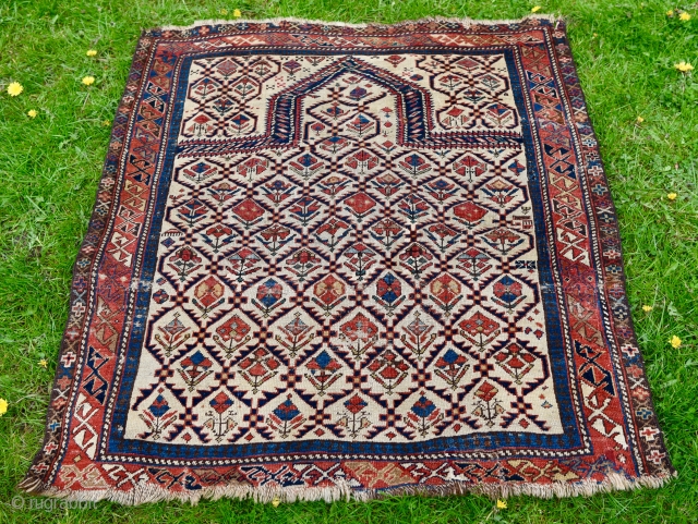 Daghestan prayer rug. 117cm x 109cm. Late 19.th century, low pile.                      