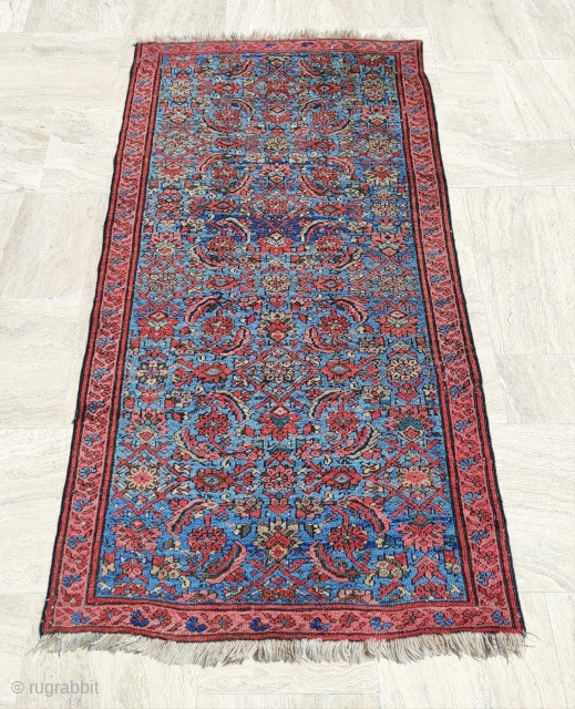 Bakshaish Rug 

Size : 111 x 205 cm 

Please reach me directly on this email : alpagutrugs@gmail.com                