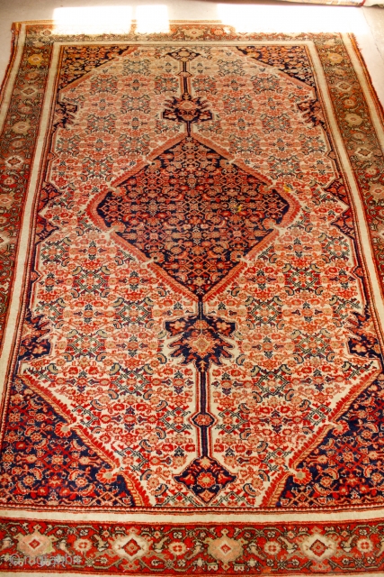 19th cent Mission Malayer, size: 6'9" x 4'8".  Fishbone Herati Senneh design.  Excellent condition.  Rare.               