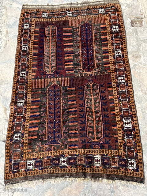 Antique Sistan Baluch rug with camel hair border and the qalam dani design. Unusual size for a qalam dani.

3'7" x 5'6"            