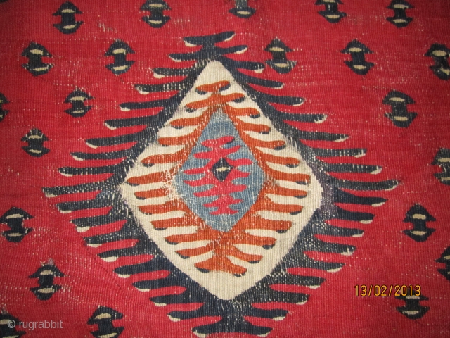 SHARKOY KILIM 
CIRCA 1850 /1870
PLEASE CONTACT                           