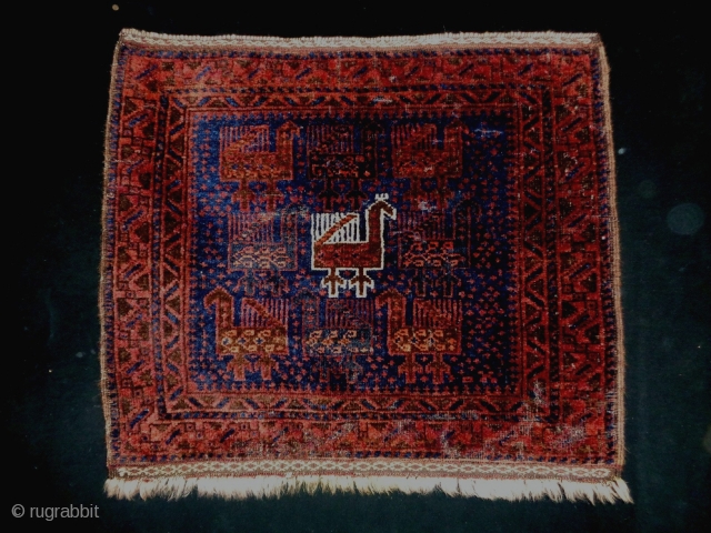 Baluch Bagface
Size: 67x56cm (2.2x1.9ft)
Natural colors, made in circa 1910, there are moth bites                    
