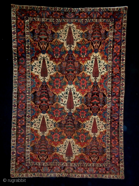 Fine Bachtiar
Size: 142x212cm (4.7x7.1ft)
Natural colors, made in circa 1910, the selvages and headends are not original, one stitch at the left selvage.           