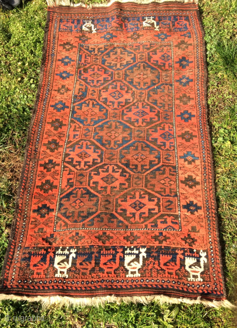 Antique Baluch bird rug,great wool and colors.1880 circa size135x73-pleas inquire for more images                    