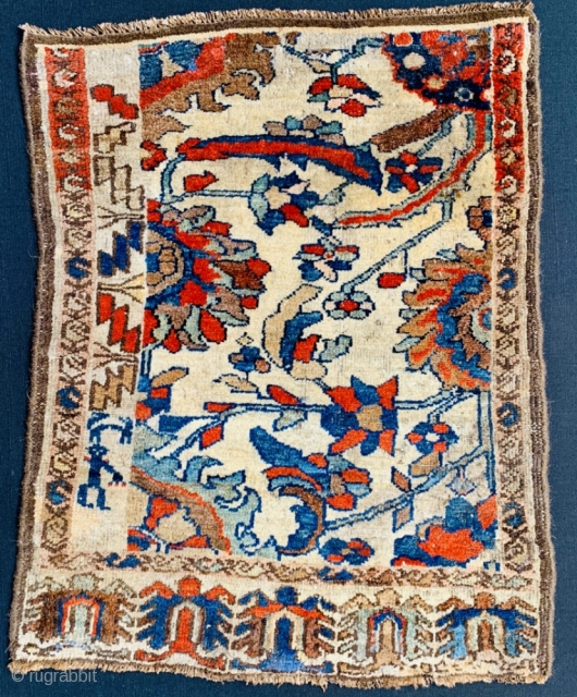 Very old wagireh from Hamedan region from family of shahsavan,s-size70x60cm-with turtle design symbol of long life In Persian cultur....              