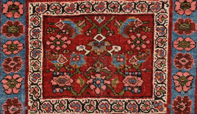 Persian Halvai Bidjar Bag Face circa 1880 size 52x55 cm                       