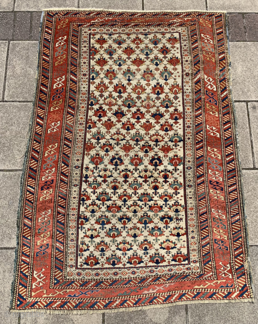 ca.1870 Kuba Shirwan rug, have great colours and drawing size:170x117 cm                      