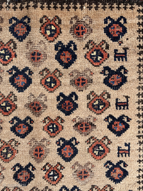 Late 19th Baluch rug unusual design and animal motifs on kilim ends. Size 150 x 80 cm. Please contact directly via e-mail or WhatsApp //// halilaalan@gmail.com // +90 534 330 38 48 