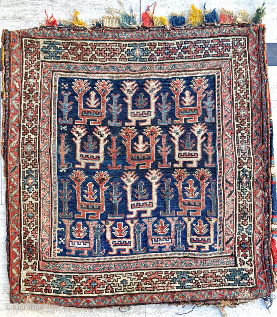 Shahsevan Sumak Circa 1870 Size: 55x58 cm
Please contact directly. Halilaydinrugs@gmail.com                       