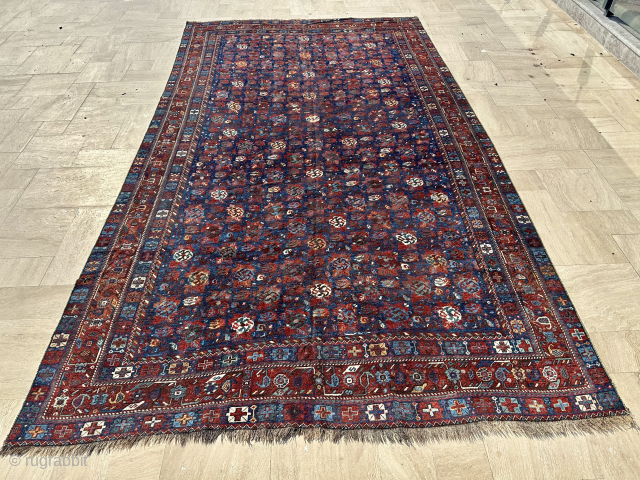 Late 19th Century Afshar Carpet Size: 245x425 cm.
Please contact directly. Halilaydinrugs@gmail.com                      