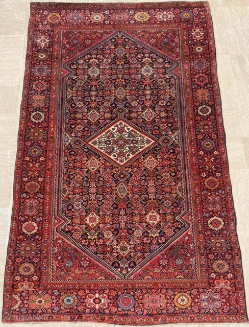 Persian Sarouk Rug Circa 1900 Size: 127x205 cm                         