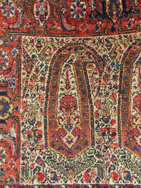  Senneh wagireh fantastic color and design-1870 circa,size70x60cm                         