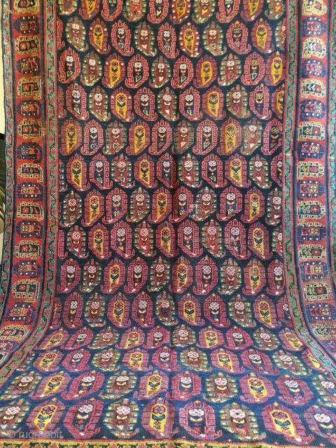 Late 20th century kurdish sauj bulagh carpet, size 300x164cm.                        