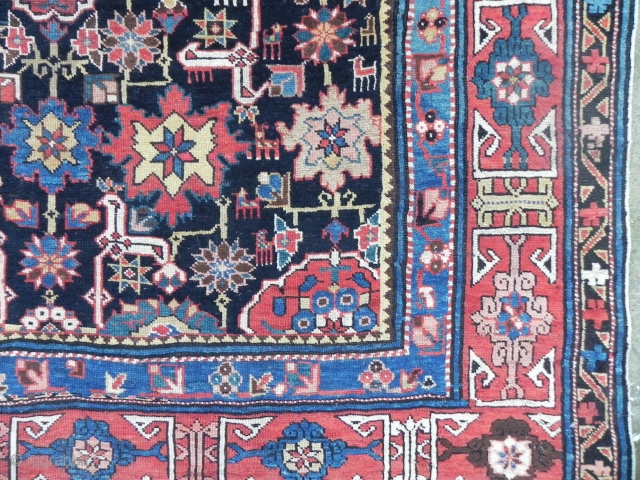 Antique Caucasian Afshan Kuba (Blossom) Rug, 5.10 x 7.9 ft (183x240 cm), navy blue field framed by a red kufic border, good medium pile throughout, dates from 3rd quarter 19th century.  