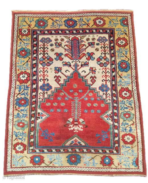 Central Anatolia Prayer rug eccelent and natural colors

19th century 

125 x 100 cm

for more info 
info@anatoliantappeti.com

                 